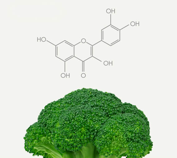 Broccoli Polyphenol