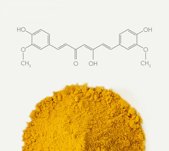 Turmeric Polyphenol